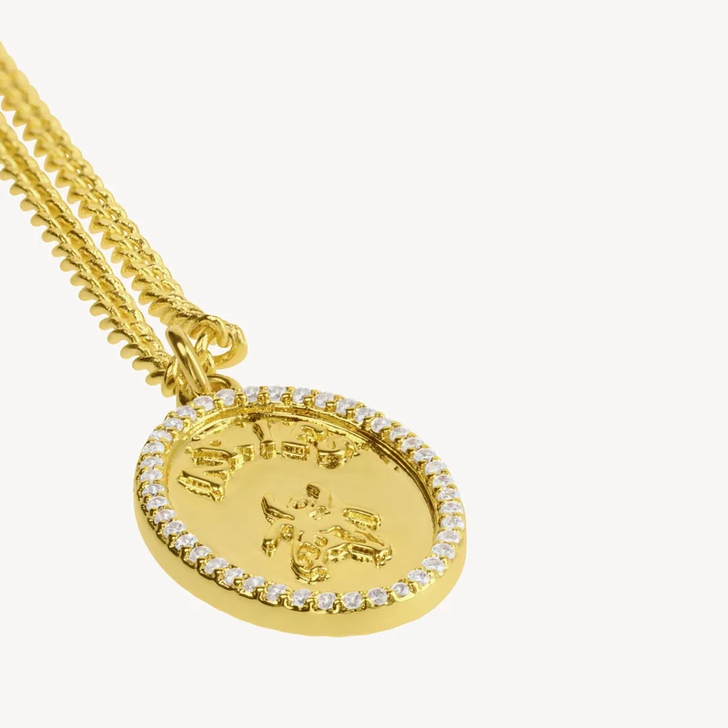 Chain Necklace With Fly Paved Gold