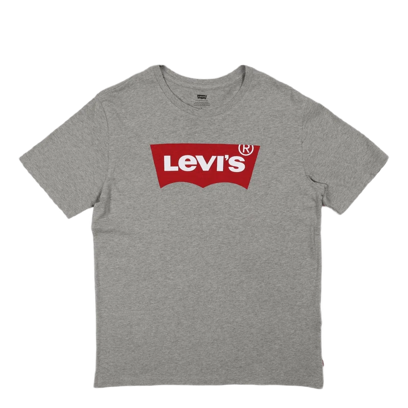 Graphic Setin Neck Graphic H21 Grey