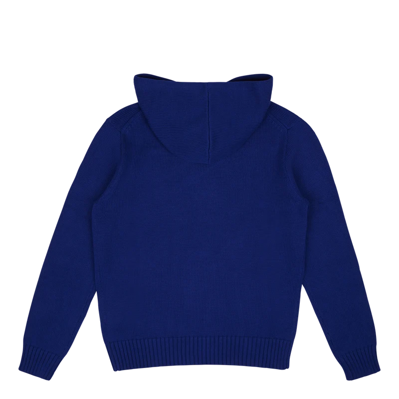 Polo Bear Hooded Sweater