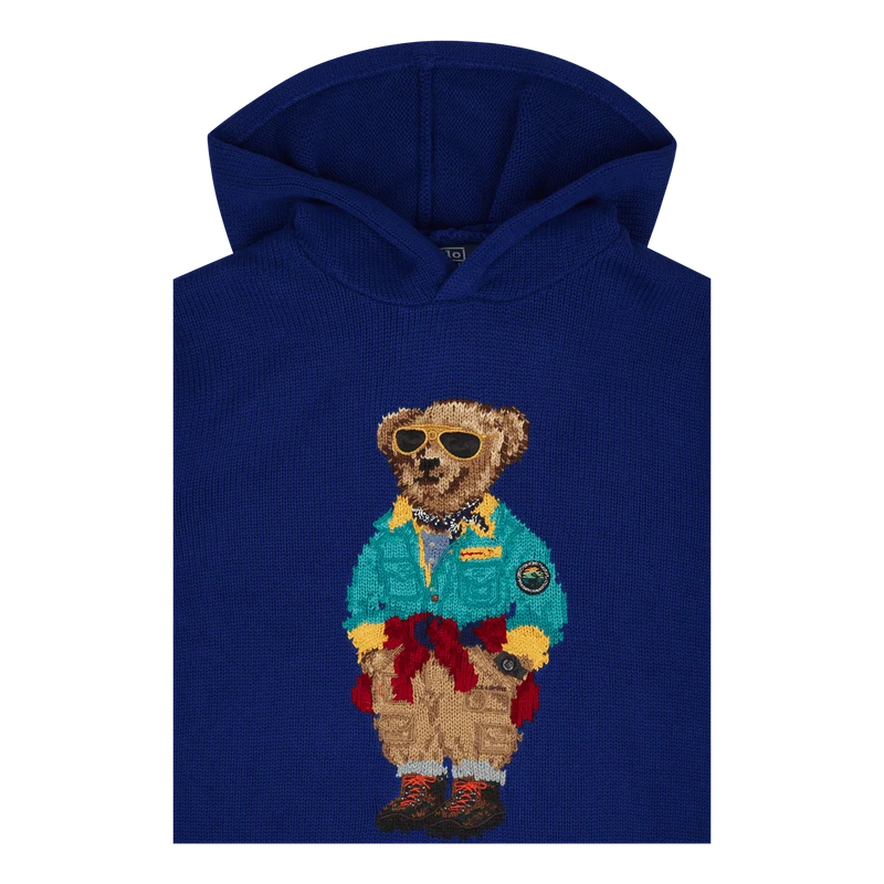 Polo Bear Hooded Sweater
