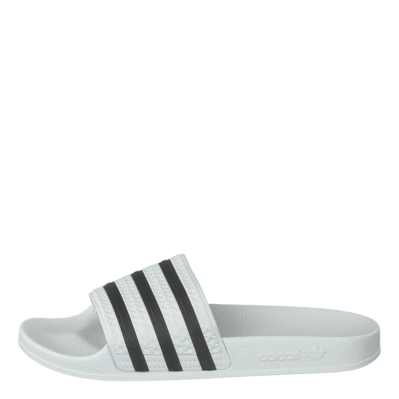 Adilette White/cblack/white