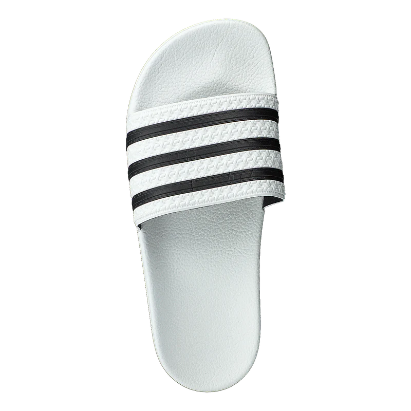 Adilette White/cblack/white