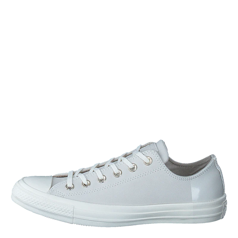 Chuck Taylor All Star Egret/egret/driftwood