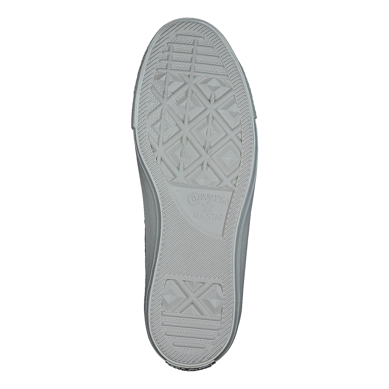 Chuck Taylor All Star Egret/egret/driftwood