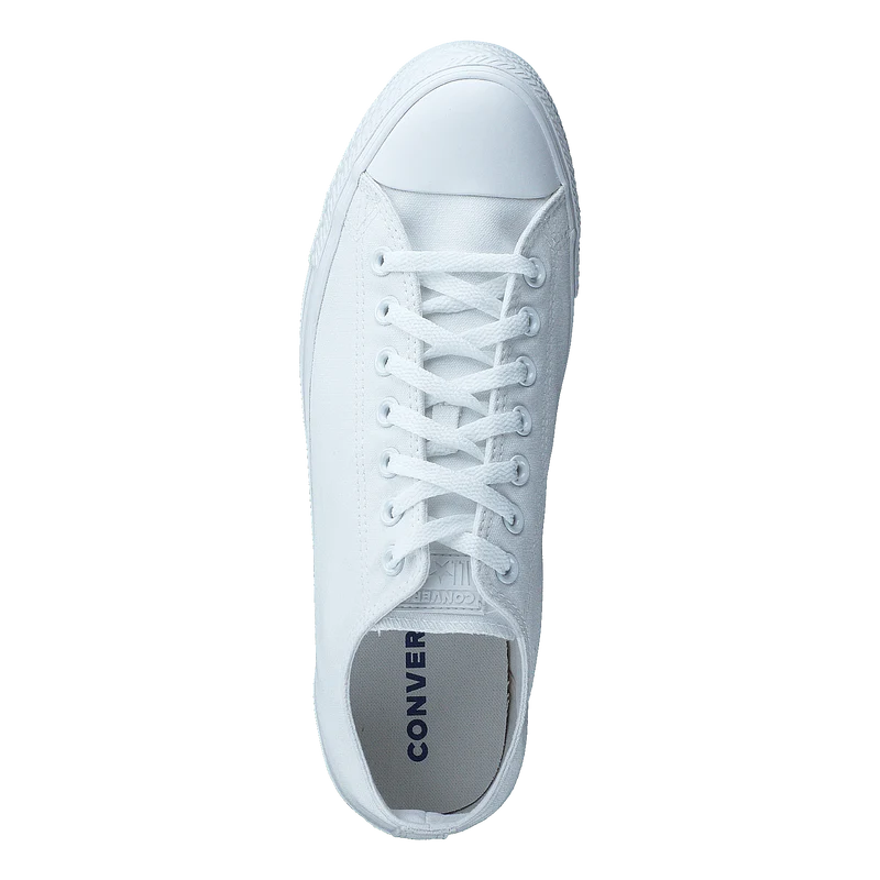 Chuck Taylor All Star Ox White Mono