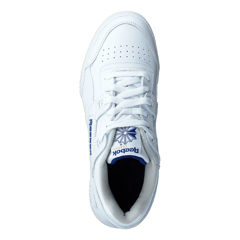 Workout Plus Wht/Royal